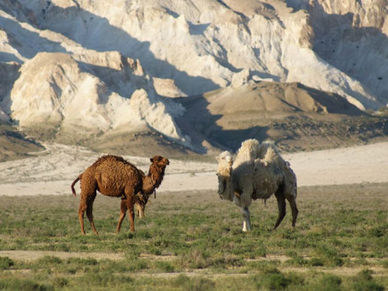 Rukhani Zhangyru: the Meaning of sacred Mangystau soil Rukhani Zhangyru: the Meaning of sacred Mangystau soil