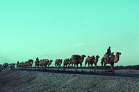 Silk Road 1992.jpg