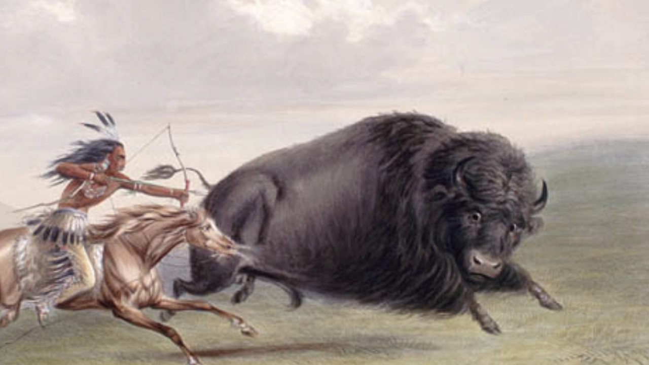 Убитый бизон. Великие равнины бизоны индейцы. Индейцы племени Бизон. Битва бизонов древние. Доисторический Бизон.