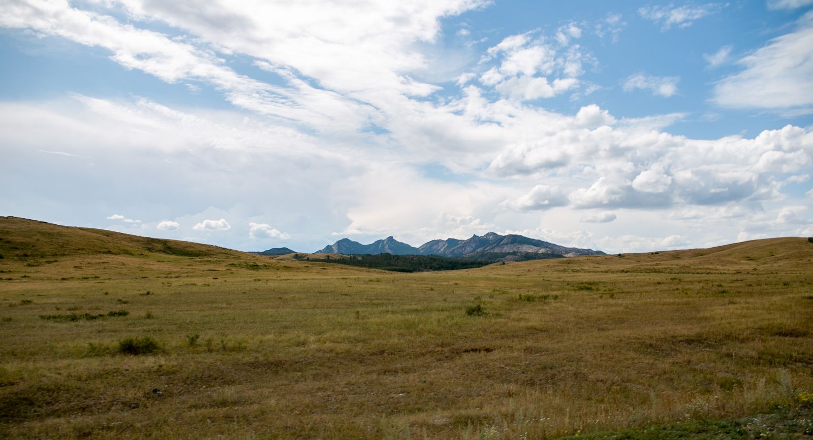 Орта Ертіс өңірі мен Қарақаралы тарихының жұмбақ кезеңі