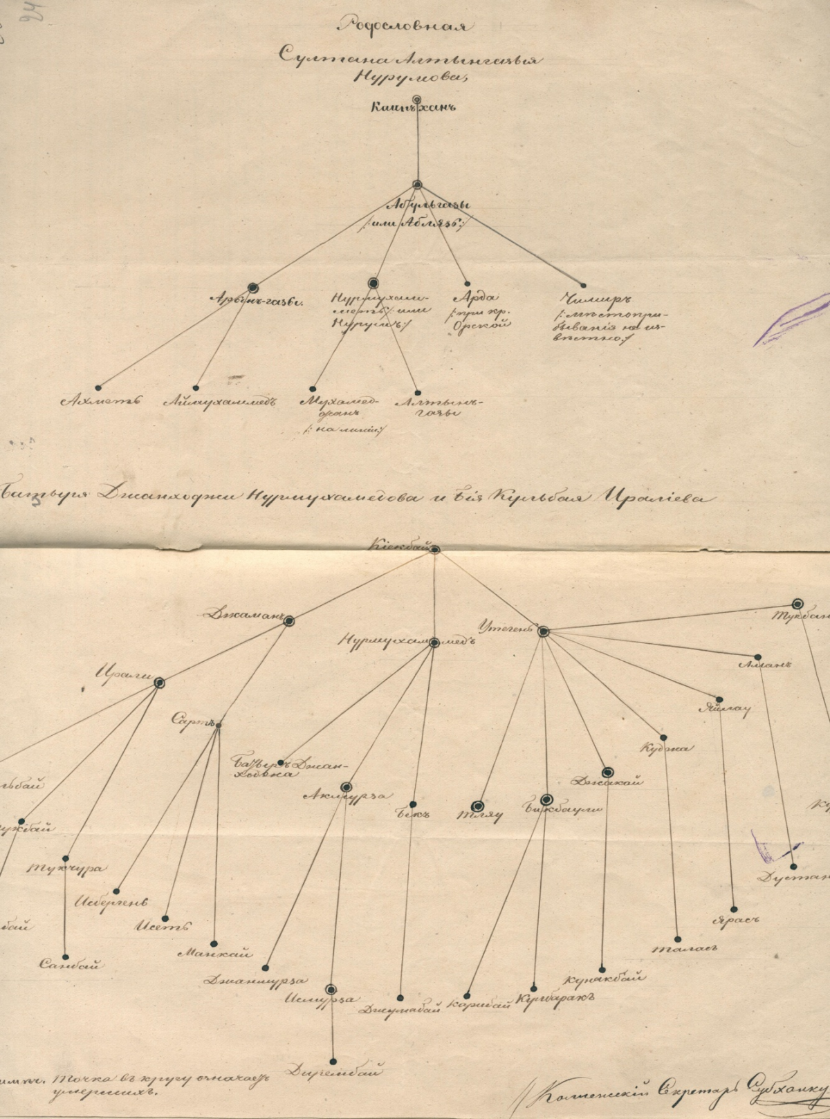 Схема родословной султана Алтынгазы Нурумова - e-history.kz