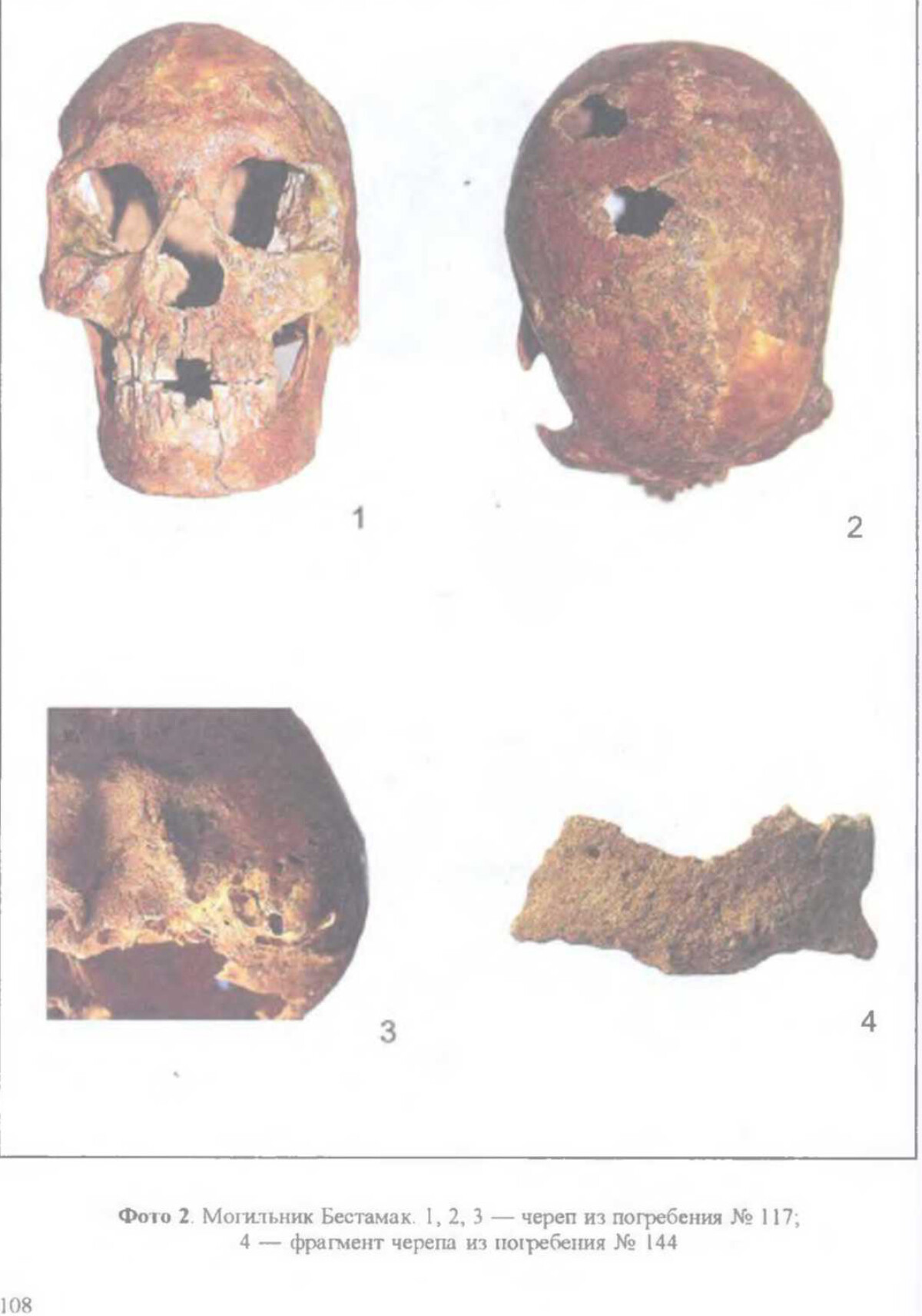 О погребениях эпохи энеолита в положении «сидя» из могильника Бестамак - e-history.kz