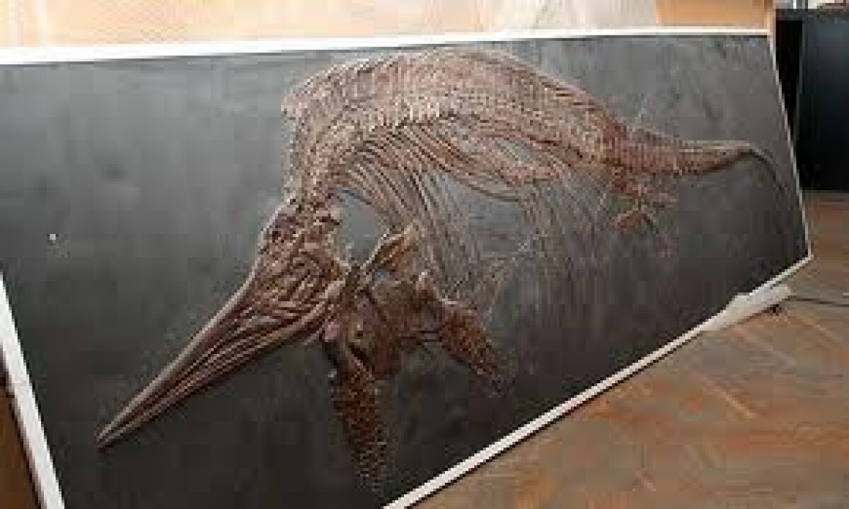 В 2005г. в Алматы состоялось открытие выставки «Возвращение динозавров» - e-history.kz