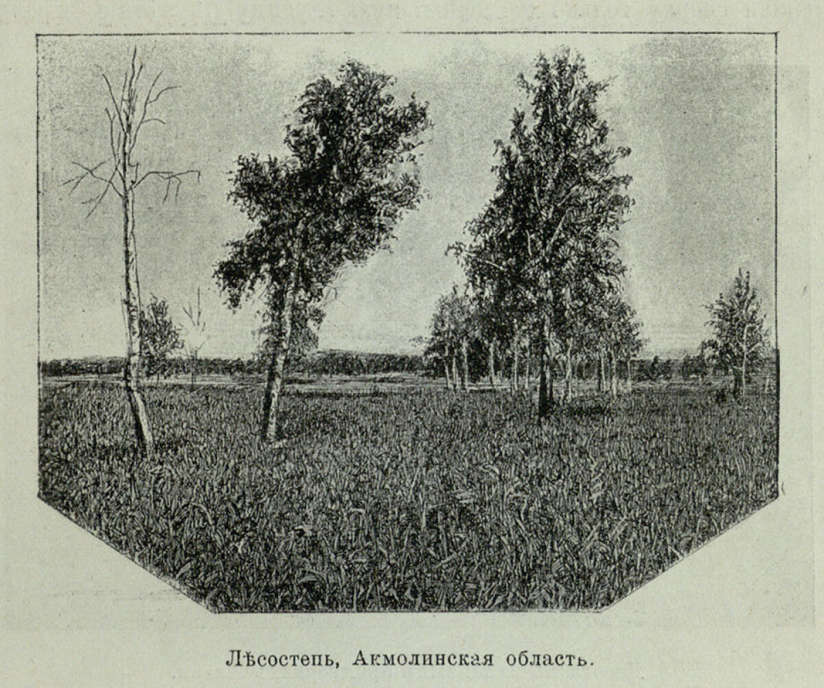 Картина казахской степи 1867 года. Часть 5 - e-history.kz