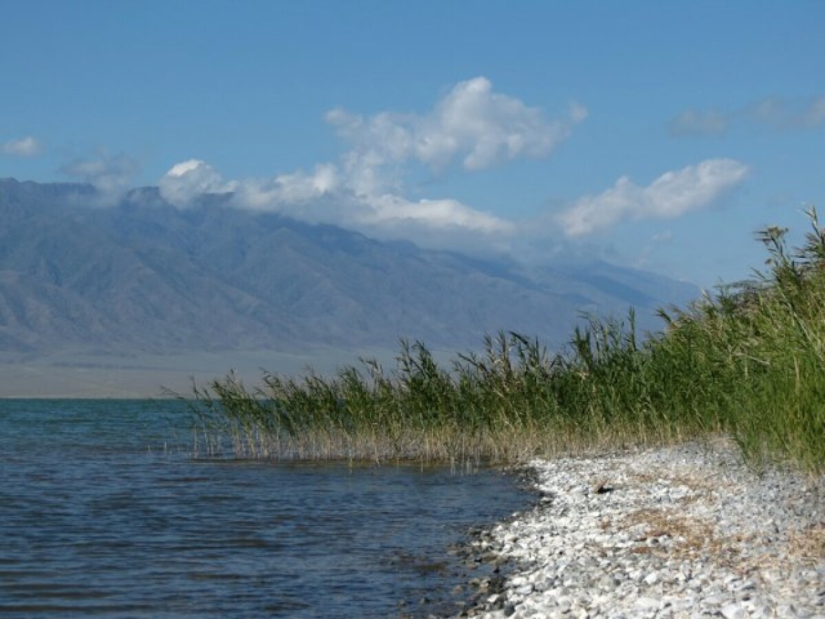 Алаколь озеро в казахстане фото