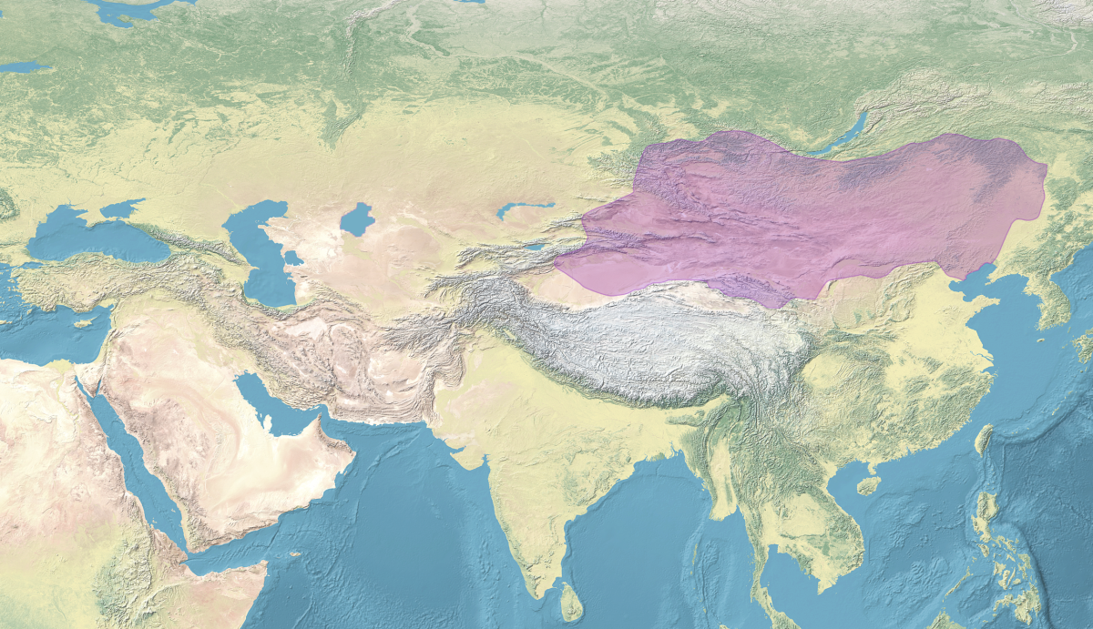 Уйгурский каганат и миграционные процессы VIII-X вв. - e-history.kz