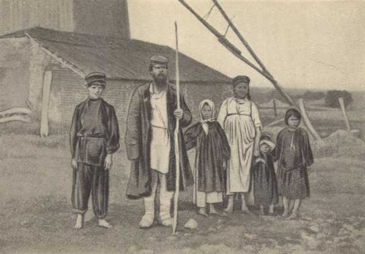 Пшеница в казахской степи. 2 часть - e-history.kz