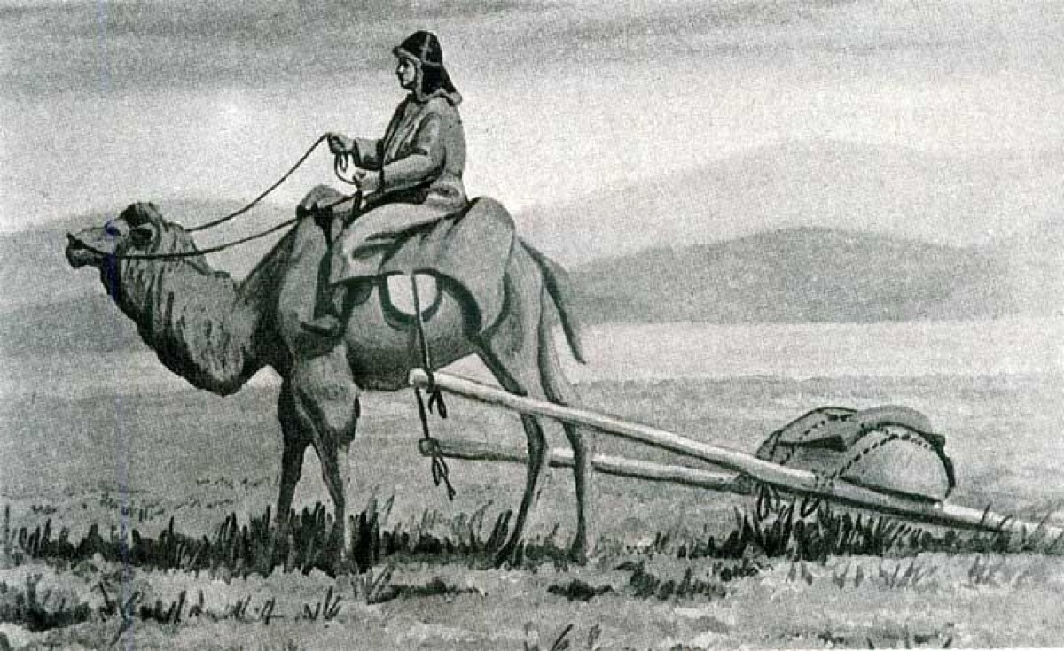 «Вымирают ли киргизы?». Казахское хозяйство в конце XIX века. Часть 1 - e-history.kz