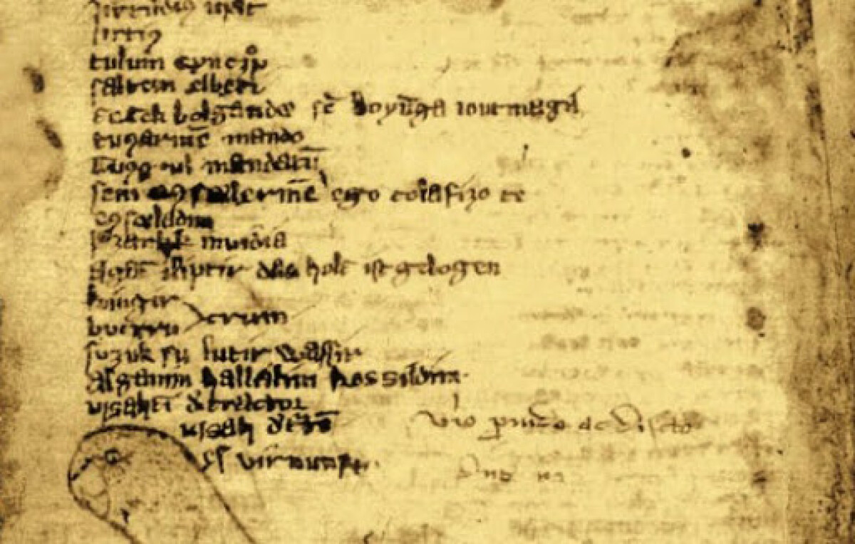 Загадка «Codex Cumanicus» - e-history.kz