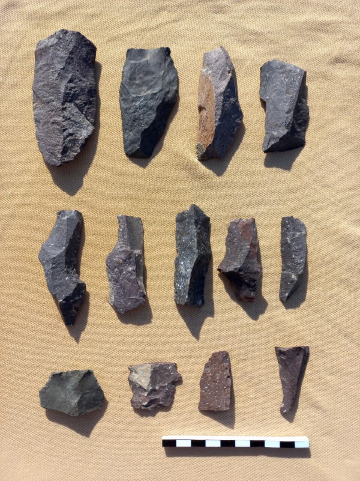 Палеолит дәуірінің көп қабатты тұрағы анықталды - e-history.kz