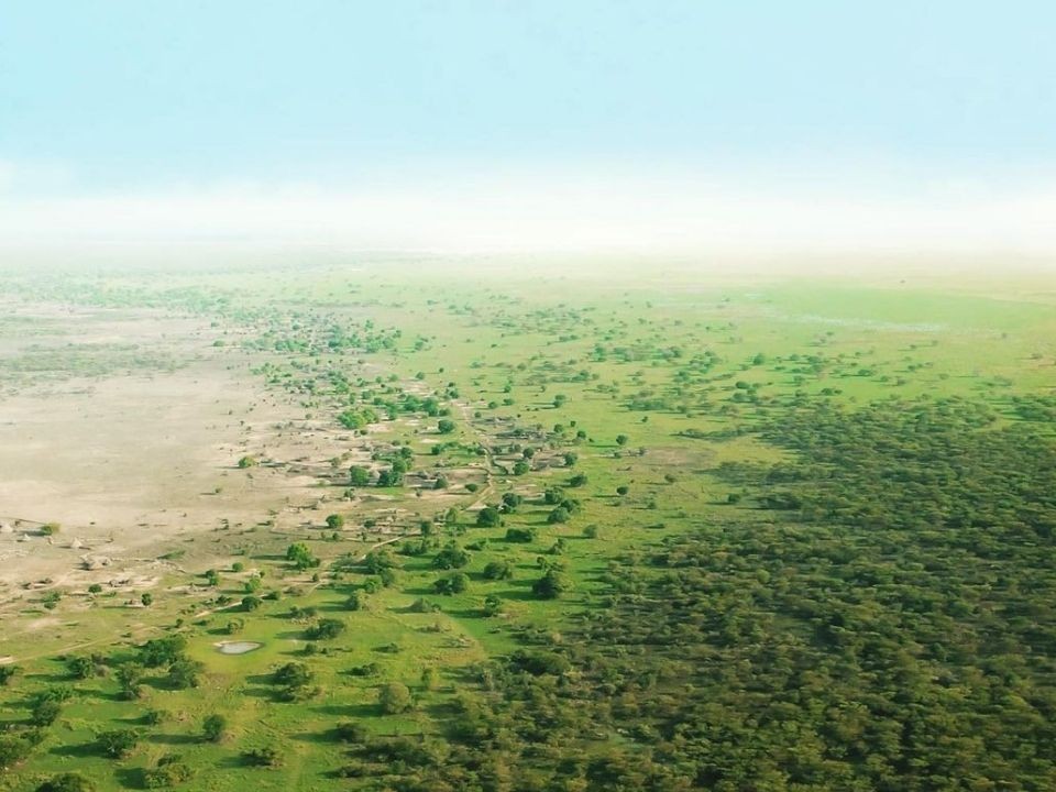 Ұлы жасыл қорған: шөлейттенуге қарсы жаһандық күрес - e-history.kz