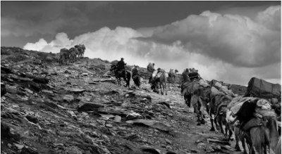 Қарамола оқиғасы қалай басталды немесе Сарының әңгімесі