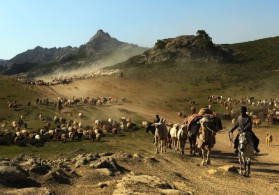 Көшпелі ортадағы қоғамдық байланыстар