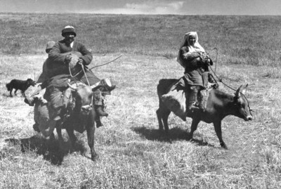 Жалған тұзаққа түскен үш ұлт құрылтайы