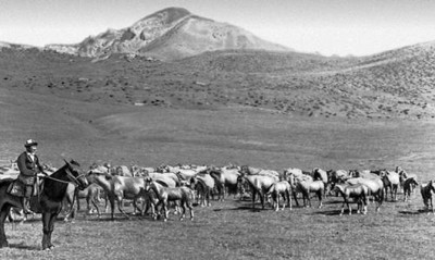 Халықтық мал емдеудің қауқары қандай болған? 