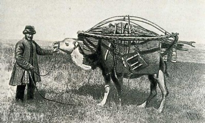 Критика мусульманского аграрного проекта 1908 года