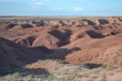 Мойынқұмдағы мал шаруашылығы 