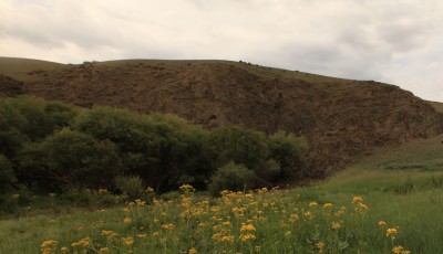 Ақбас атанның басы қалған Түйебас