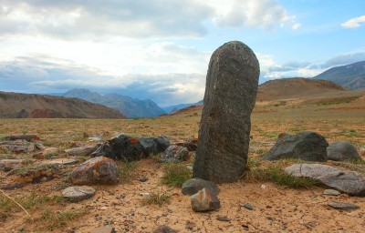 Туысқан түркі тілдері