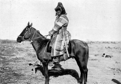 Documentary film about horses as a Kazakh brand