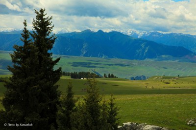 Арғы беті Алтайдың, бергі беті...