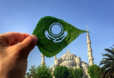 Рушылдықтың пайдасы