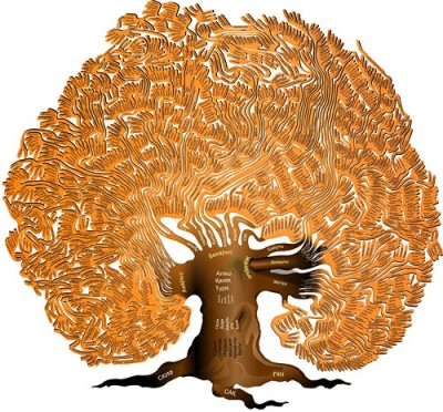 Шежіре - қазақтың қаны туралы құжат