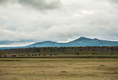 ВОСПИТАНИЕ НАСЛЕДИЕМ ВЕЛИКОЙ СТЕПИ 