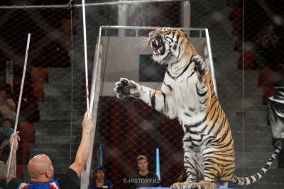 «Астана» ақырады!