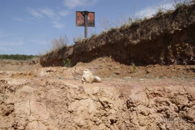 One day with archeologist 