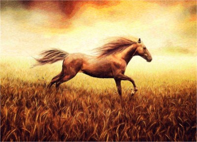  A role of the horse in Kazakh culture