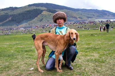 Казахстан в год собаки