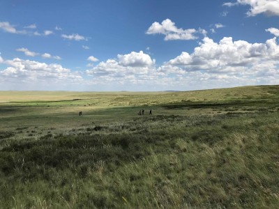 Шүршітқырған шындығы