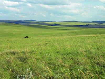 «Степное» целительство периода колонизации.  «Белые пятна» истории Казахстана