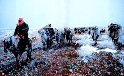 Қайғының пайдасы