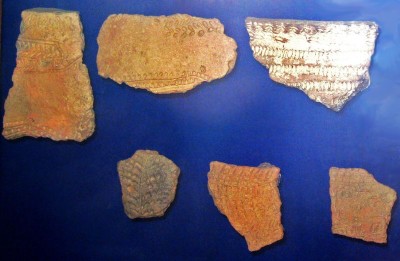 Kazakhstan during Neolithic age