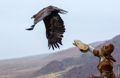 #Түрік әлемі: халқымыздың аңшылық және саятшылық дәстүрі ІІ