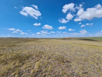Сакральное место исторической памяти казахского народа