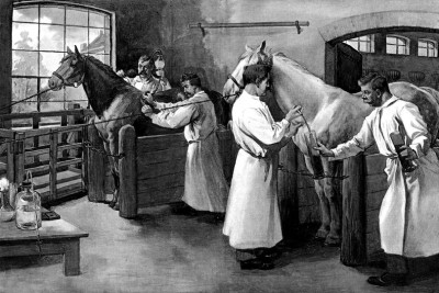 Ақмола облысының алғашқы ветеринарлық учаскелері туралы 