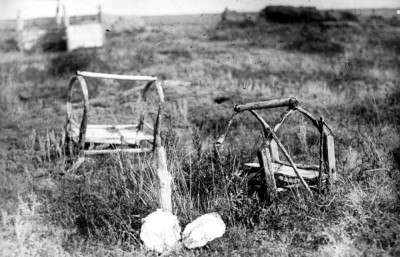 Ғаламда болмаған геноцид