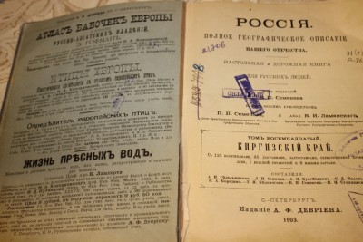 Киргизов можно отнести к брахицефалам