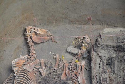 Стеклянный саркофаг в Берельском кургане