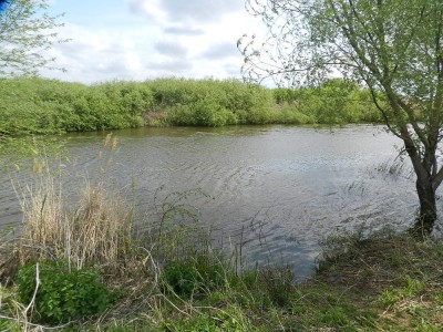 Назад в прошлое или тур в сакральный Тургай 