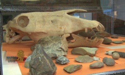 В СКГУ имени М. Козыбаева представлены уникальные древние находки