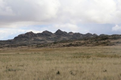 Абыралыдан атылғандар мен сотталғандар