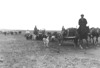 Қан қақсатқан кім?