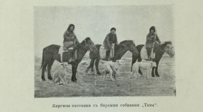 Зоографические заметки по Акмолинскому уезду. Часть 3