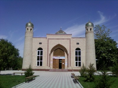 Тамырды танып-білудің тағылымы