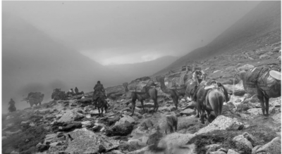 Айдалған ел, аңыраған жұрт