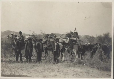 Сырдария экспедициясында түсірілген суреттер